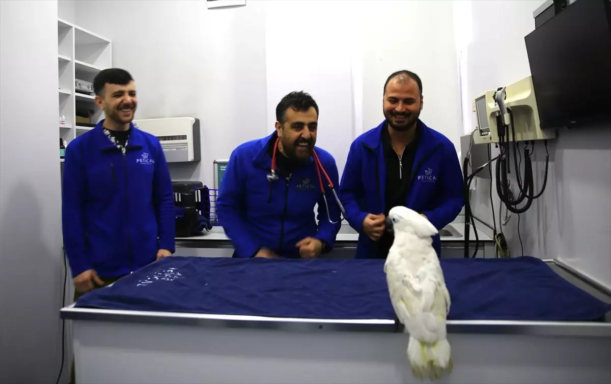 Ares adlı Papağan Hayvan Hastanesinde Dans Ettirerek Yüzleri Güldürdü