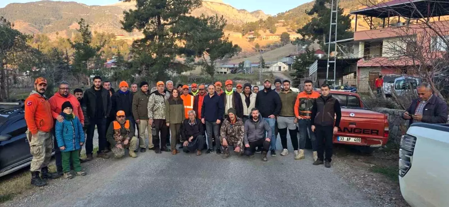 Mersin Tarsus’ta Sürek Avında 15 Yaban Domuzu Vuruldu