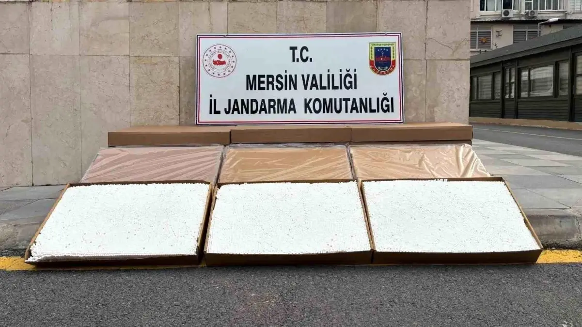 Mersin’de 84 Bin Dolu Makaron Ele Geçirildi